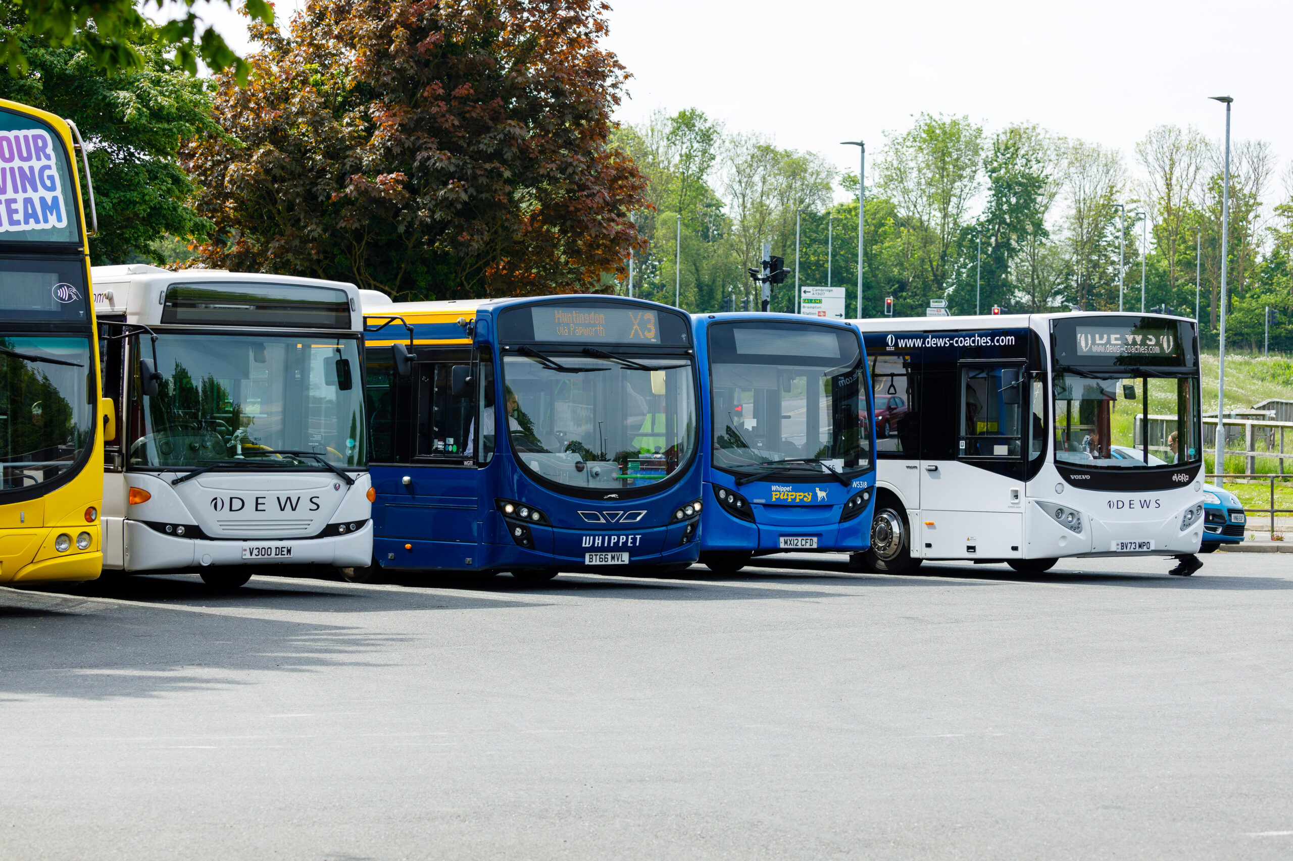 A group of buses parked together